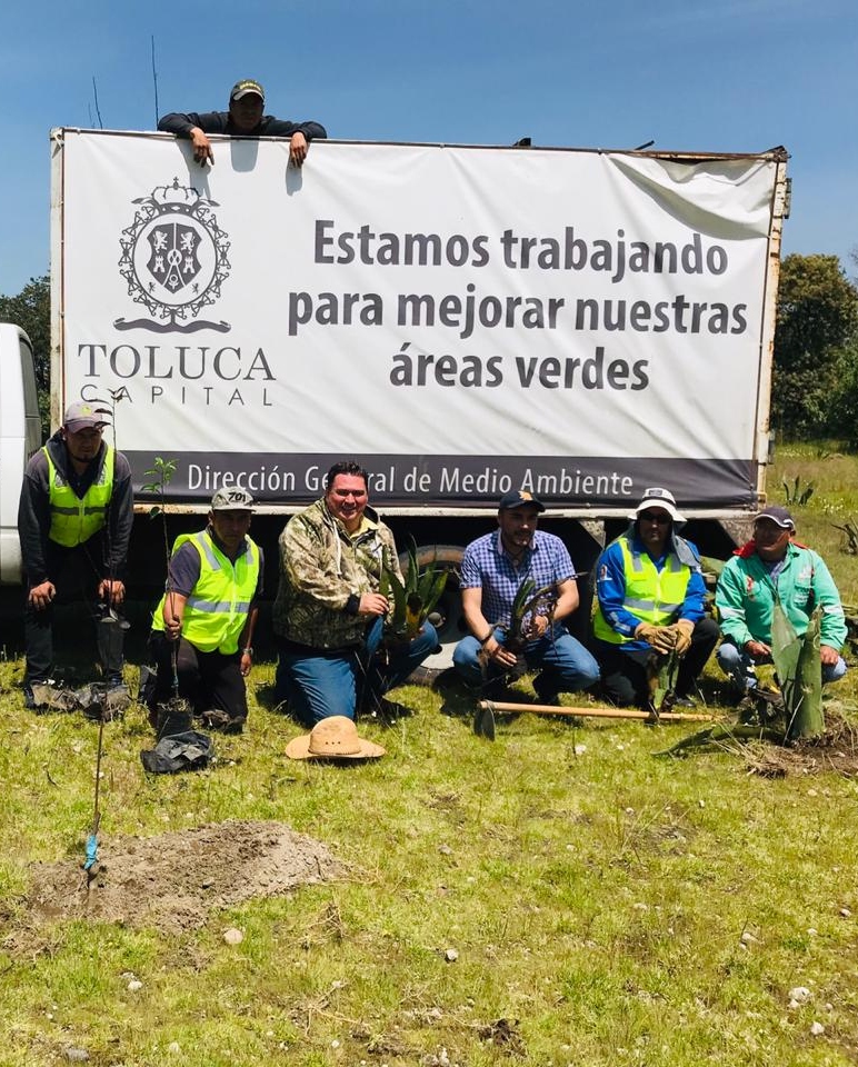 indumark - innovacion